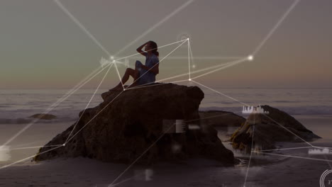 Person sitting on rock by ocean with network connections animation overlay