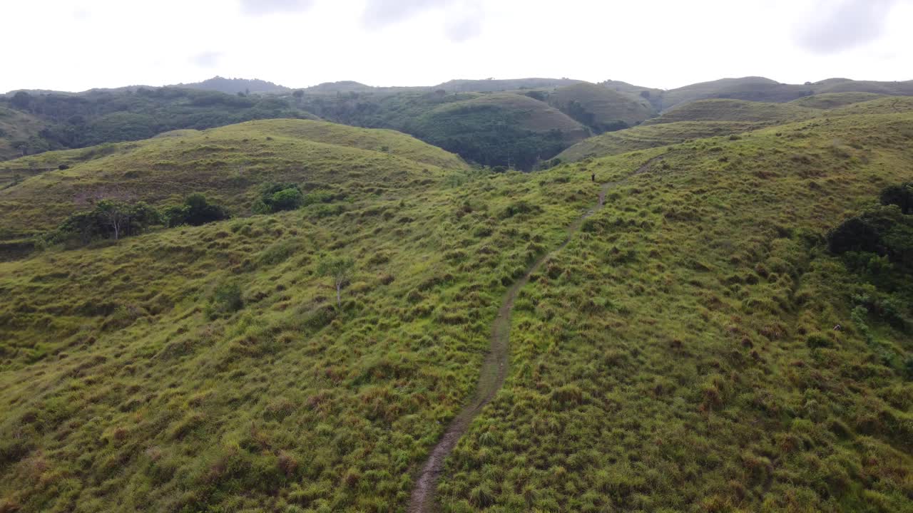 Aerial, Farmer walking Trail to bizzare looking Green Teletubbies rolling Hills in Nusa Penida Island used for Terrace style Farming for its fertile volcanic Soil