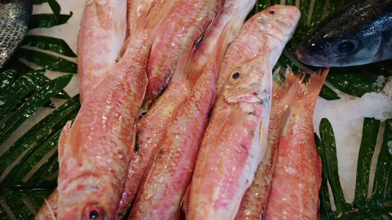 Close up of fresh fish arranged on ice at a traditional Mediterranean fish market