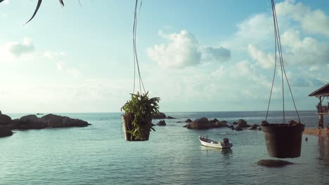 tropical beach paradise with hanging plants and a boat in the distance