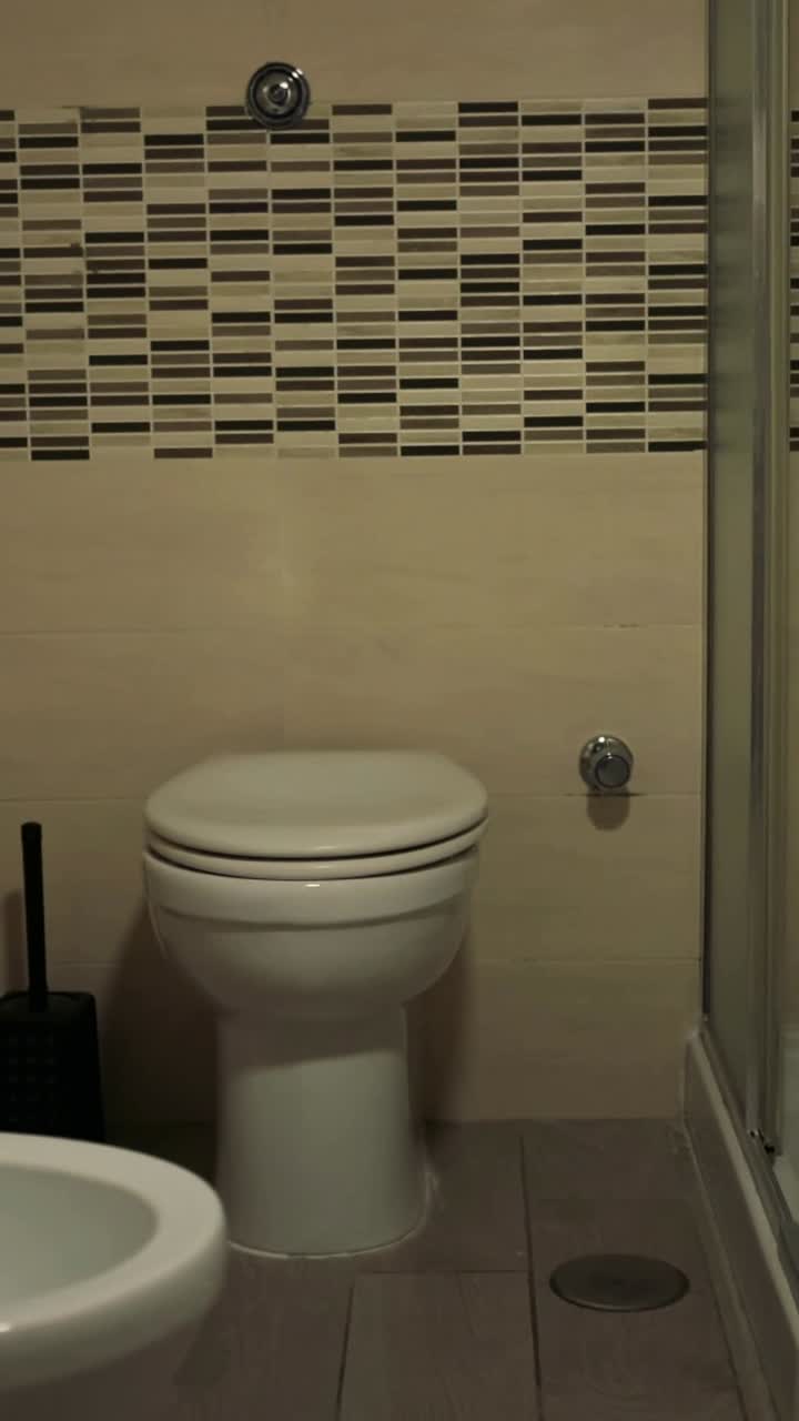 baño contemporáneo con accesorios y decoración esenciales