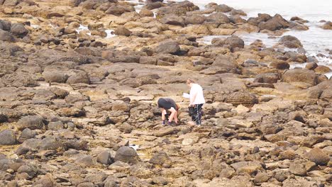 two people explore rocky shores, interacting amidst natural coastal scenery. overcast lighting enhances the serene, contemplative mood