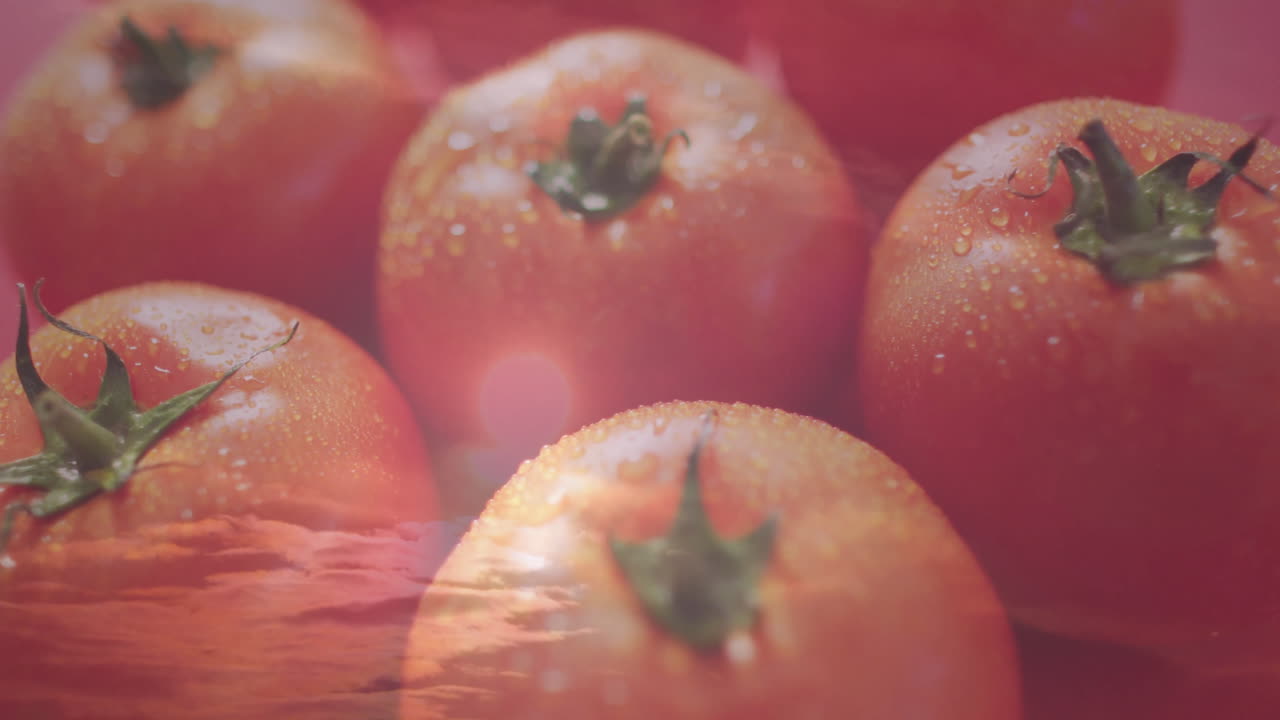 Fresh tomatoes with water droplets floating over tranquil ocean animation scene
