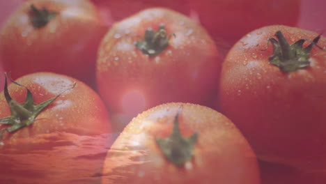 fresh tomatoes with water droplets floating over tranquil ocean animation scene