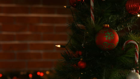 vista de las decoraciones navideñas