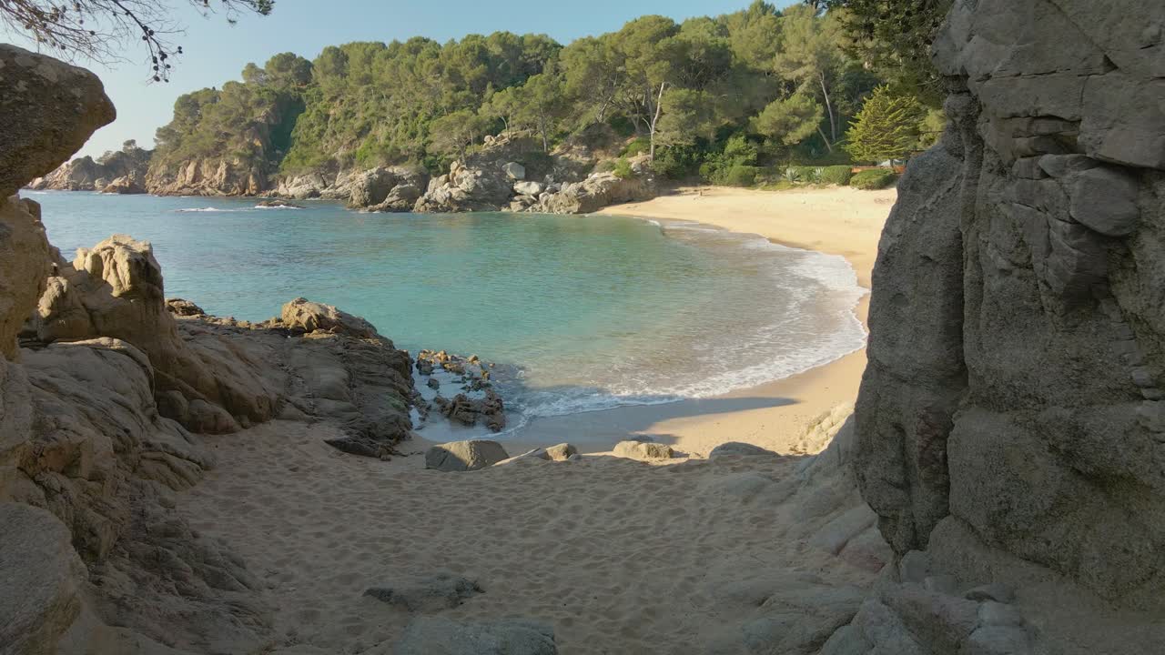 La telecamera si muove in avanti rivelando una spiaggia esotica con onde calme che si infrangono a riva.