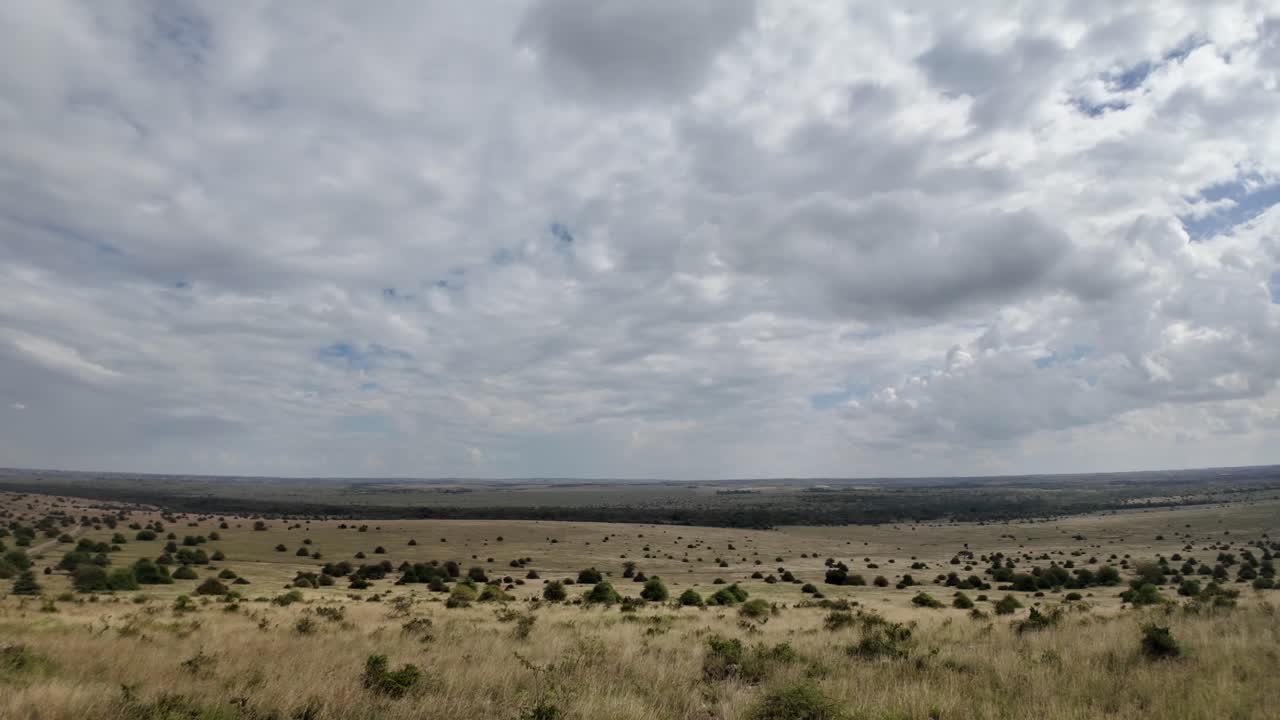 Schwenkaufnahme einer afrikanischen Wildsavannenlandschaft mit Akazienbäumen, Gras und Sand.