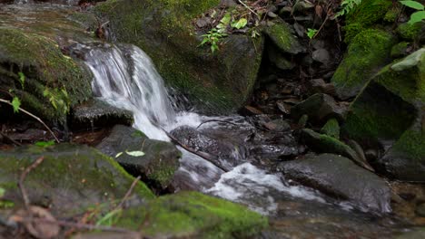 tennessee running stream in the smoky mountains