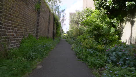 Spring-walk-through-the-narrow-path-of-Dairy-Walk-in-Wimbledon,-London-UK,-an-urban-paradise-filled-with-wild-flowers-around