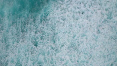 rising up over crashing waves of the north shore of oahu hawaii
