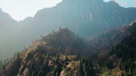 Alpes-Suizos-Con-Pradera-Alpina-Verde-En-Una-Ladera-Y-Rodeada-De-Bosques