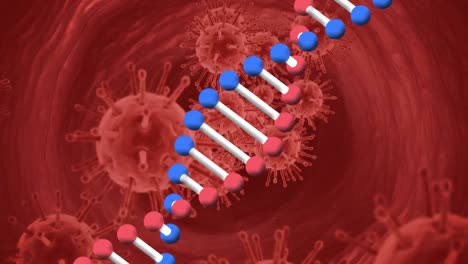 Animation-of-dna-strand-spinning-and-covid-19-cells-floating