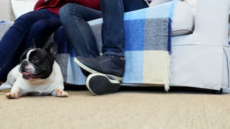 perro pug con pareja en la sala de estar 4k