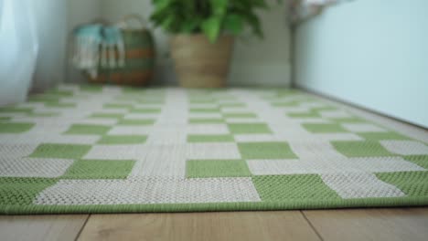 green and white checkered rug on wooden floor