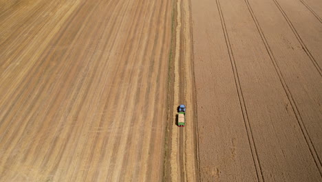 aerial top down shot of tractor transporting fresh cutted wheat grain on field during sunny day