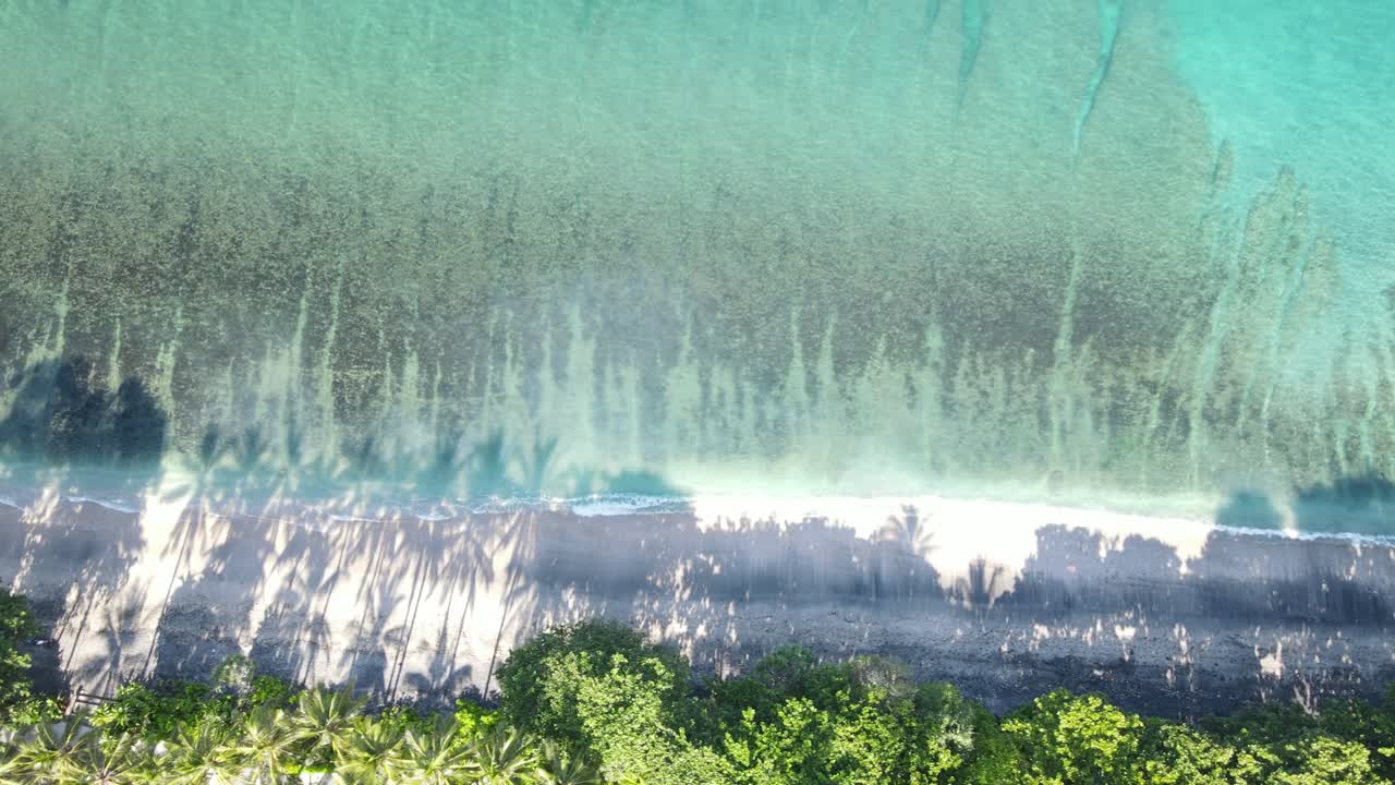 Flygfoto ovanifrån av en tropisk strand med palmskuggor och turkost hav