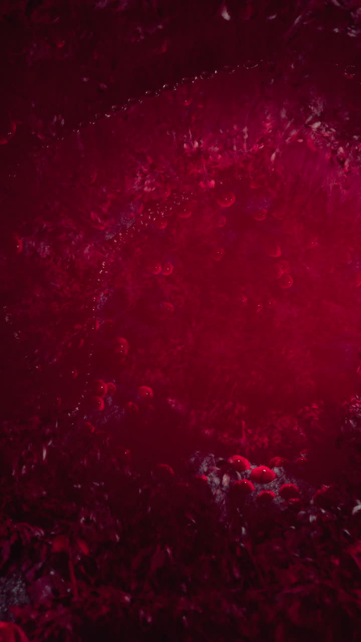 Fondo rojo abstracto con patrón circular