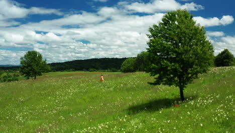 Girl-in-dress-walks-through-green-fields-of-Lika,-Croatia