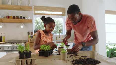 african american father and daughter planting herbs together at home, enjoying quality time