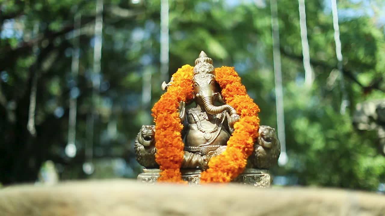 Zoom in shot of Lord Ganesh statue with garlands. Low angle, shallow focus