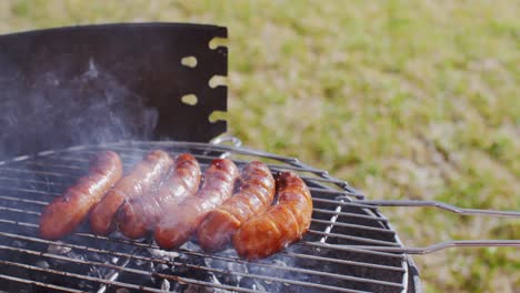 salchichas gruesas y jugosas asadas a la parrilla en un fuego