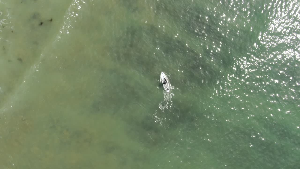 surfistas en el mar, kamakura, japón