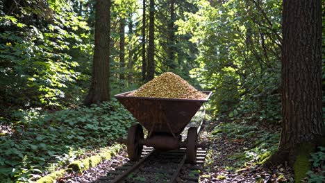 rusty wagon carrying wood chips in a forest