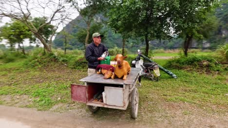 exploring rural roads and local scenery