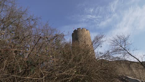 Castle-tower-ruin-seen-behind-bush-of-plants-in-kaysersberg,-France