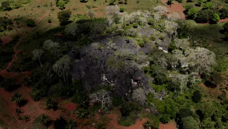 una formación rocosa rodeada de plantas y árboles tropicales en kenia