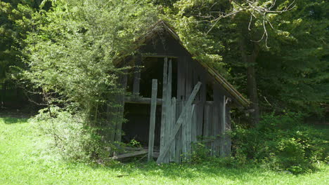 small hay barn in the woods