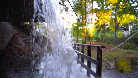 fresh cool water falling down in local park on sunny evening time, close up view