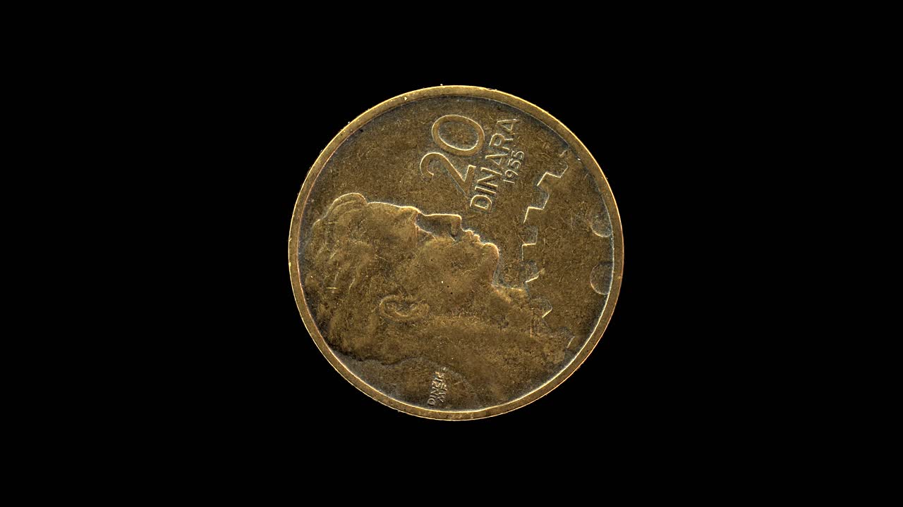 Yugoslavia 1955 20 dinara coin reverse with portrait, denomination and cogwheel rotating on black background