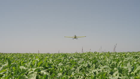 crop duster plane flying over farm field with fully grown green crops