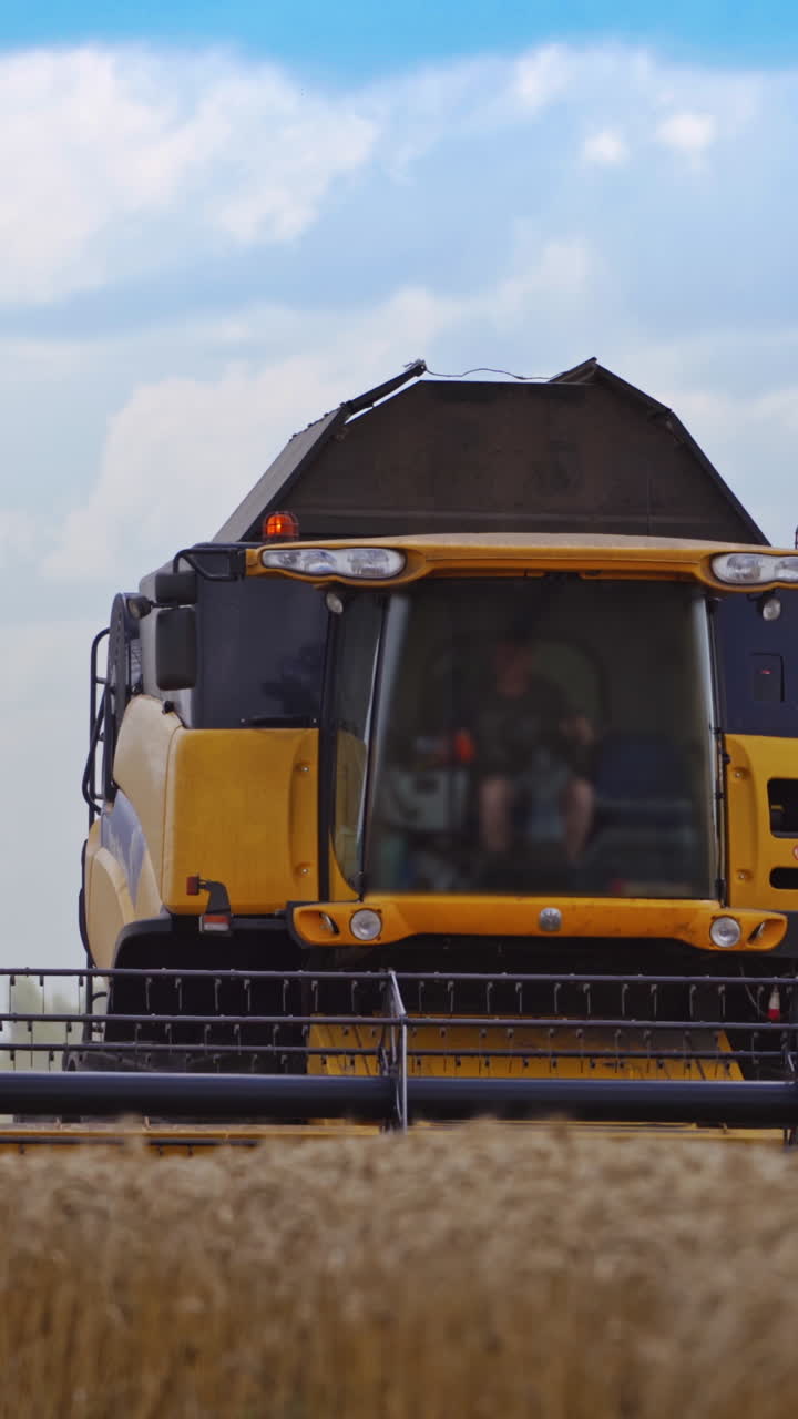 Harvest of wheat field at countryside. Heavy agricultural machinery during harvest Vertical video