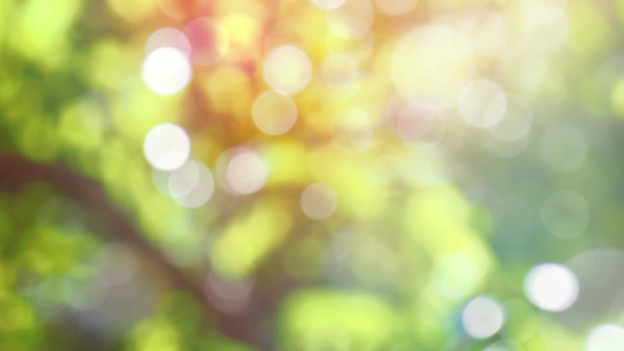 абстрактный весенний фон с бокехом