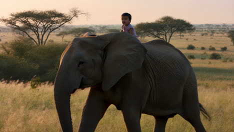 child riding an elephant in an african savanna