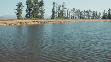 young-woman-jumping-off-jetty-in-lake-splashing-in-water-enjoying-summer-freedom