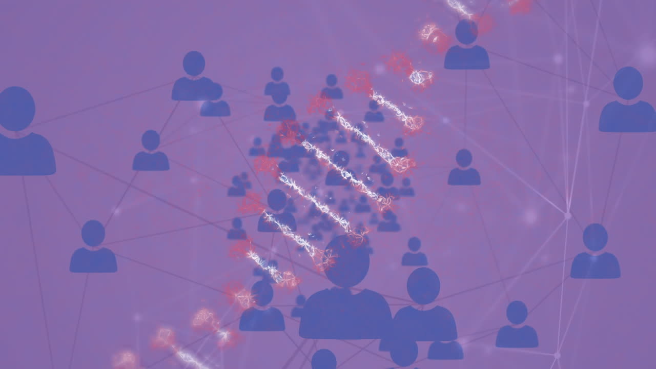 dna 가닥의 애니메이션, 사람들과의 연결 네트워크 보라색 배경의 아이콘