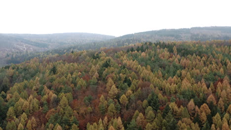 Toma-Aérea-Panorámica-Del-Colorido-Bosque-Otoñal-En-Las-Colinas,-República-Checa