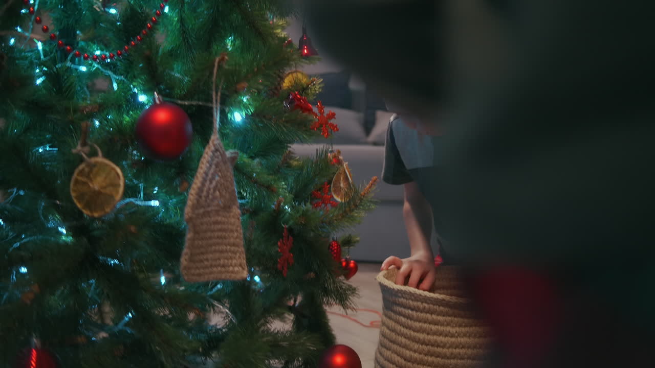 둥이 소년과 그들의 엄마는 크리스마스 트리를 장식하기 위해 유리 공을 함께 선택합니다.