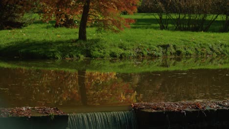 autumn trees reflected on lake on bright light with focus pull