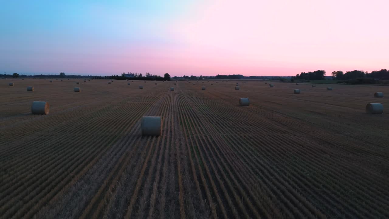 Flying Above the Field With Hay Rolls Sunrise.