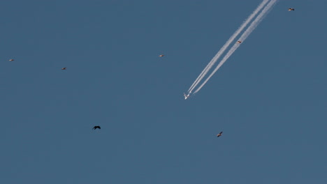 Avión-Volando,-Contra-El-Cielo-Despejado.