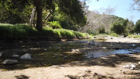 Schwenk-über-Einen-Kleinen-Wasserstrahl-In-Einem-Naturgebiet