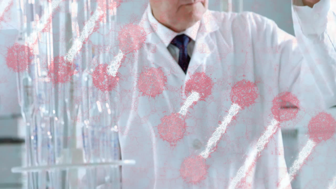 Scientist in lab coat working with red cell structures overlay animation