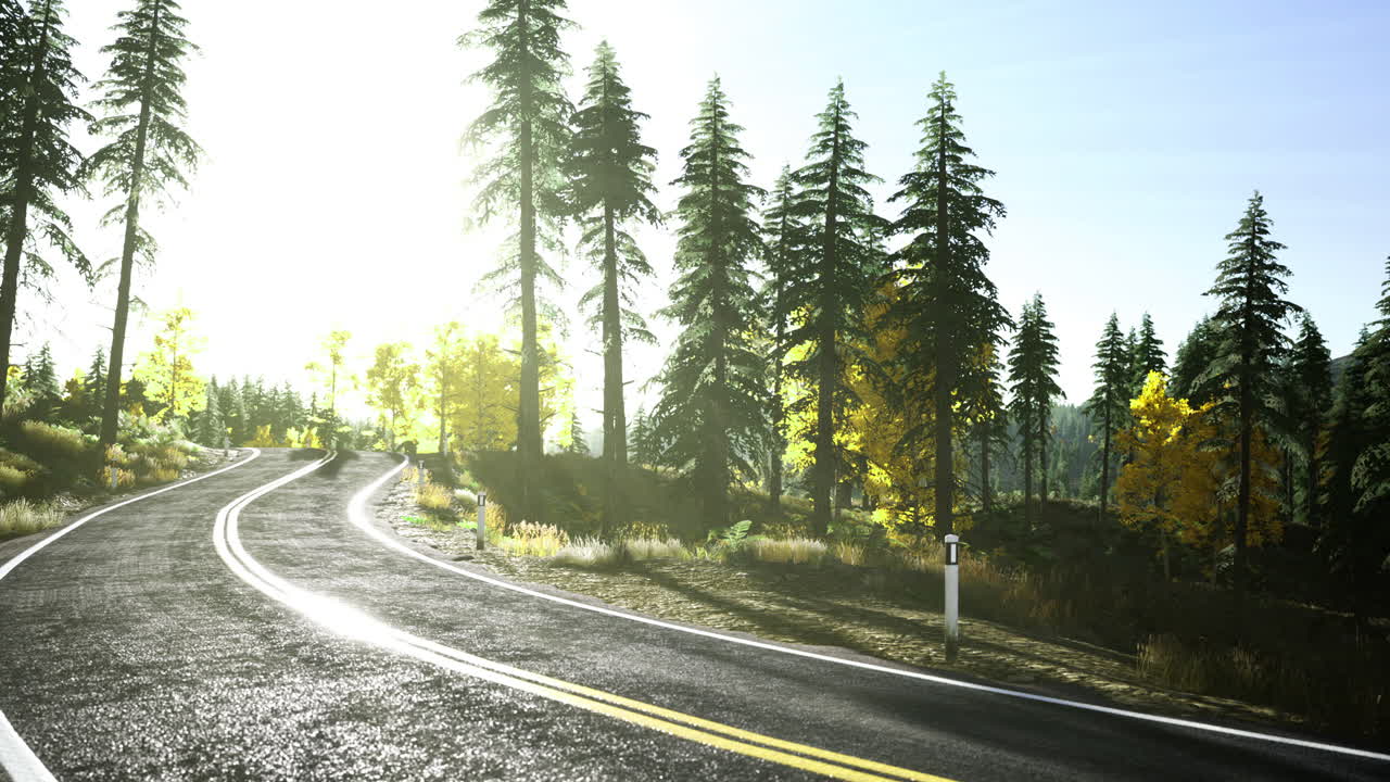 Scenic winding road through autumn forest bathed in golden sunlight