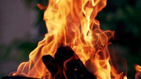 Burning wood for barbecue. Warm fireplace with lots of trees ready for barbecue