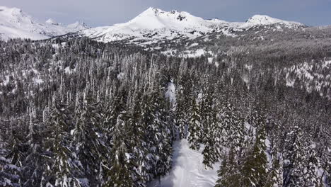 Vista-Aérea-Del-Pico-De-La-Montaña-Cubierto-De-Nieve-Y-árboles