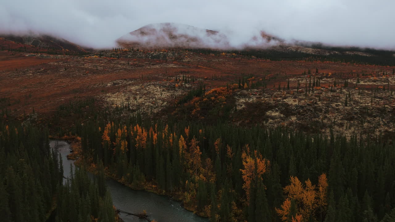Stream Flowing Through Fall Color Trees In Tombstone Territorial Park In The Yukon, Canada. Aerial Drone Shot